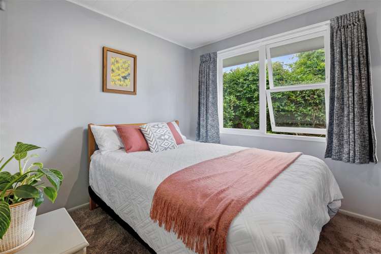 1 Kiwi Street Springfield_7