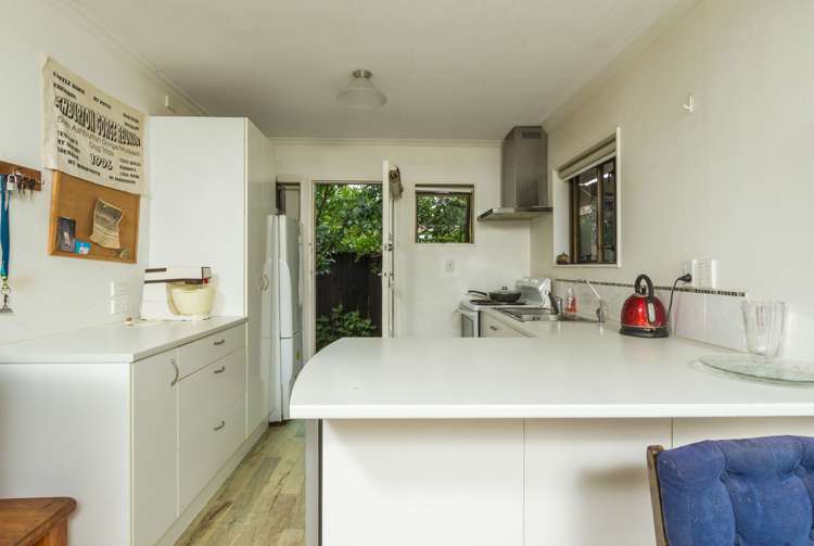 36 Green Street Tahunanui_5