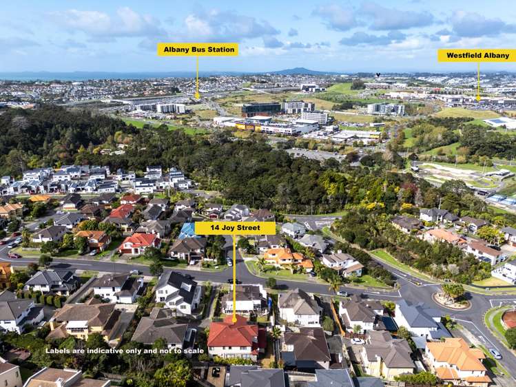 14 Joy Street Albany Heights_25