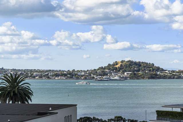 6 Judge Street Parnell_3