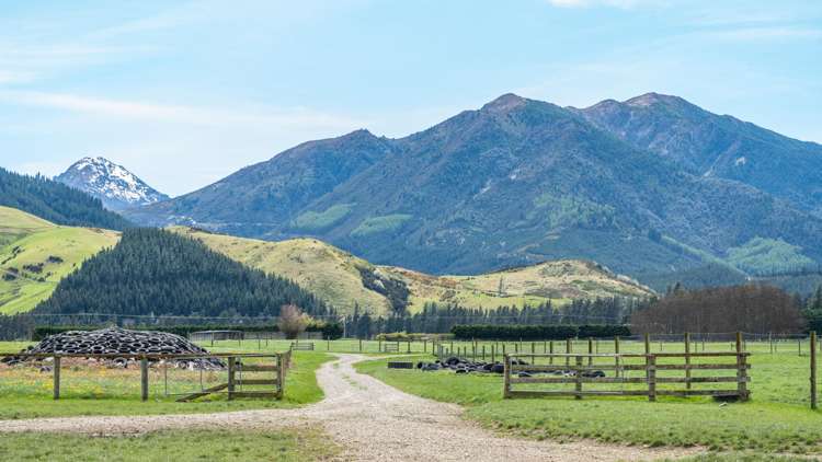 163 Woodbank Road Hanmer Springs_14