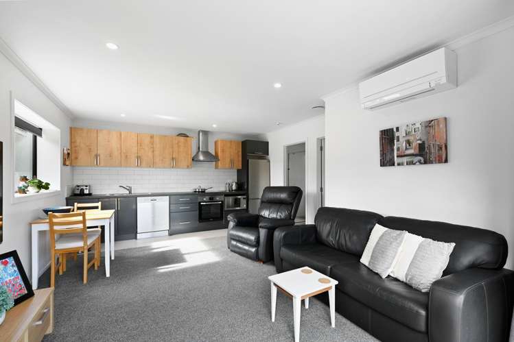 2/50 Roto O Rangi Road Cambridge_19