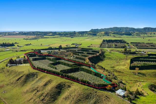 31 Clark Cross Road Opotiki Coastal_2