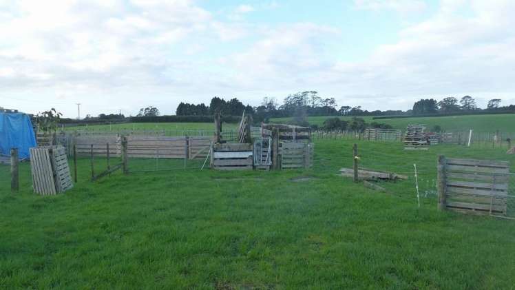 20 Tariki Road South Tariki_3