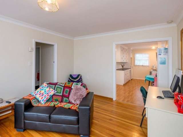 12 Marsden Street Levin_3