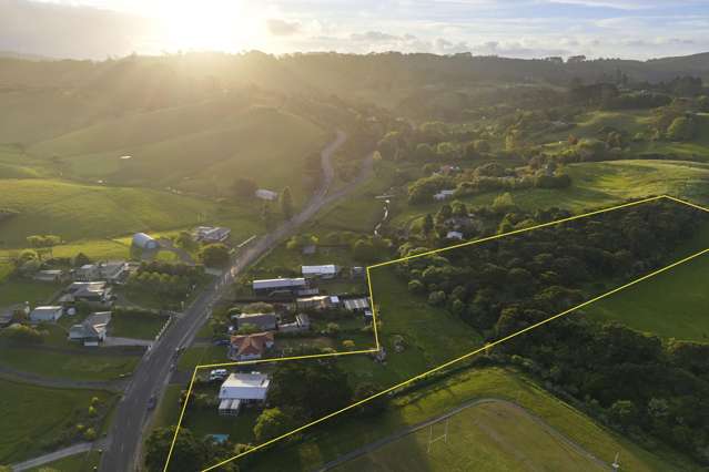 Your Chance in the Heartbeat of Waitakere