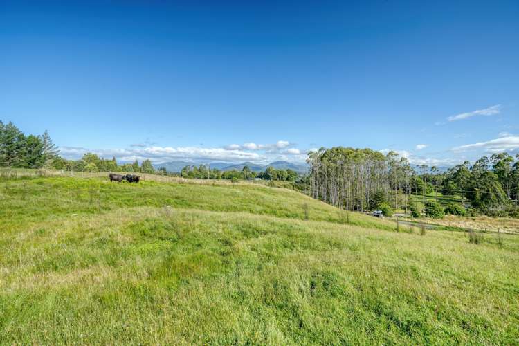 Lot 2 Lake Kaniere Road Hokitika_10