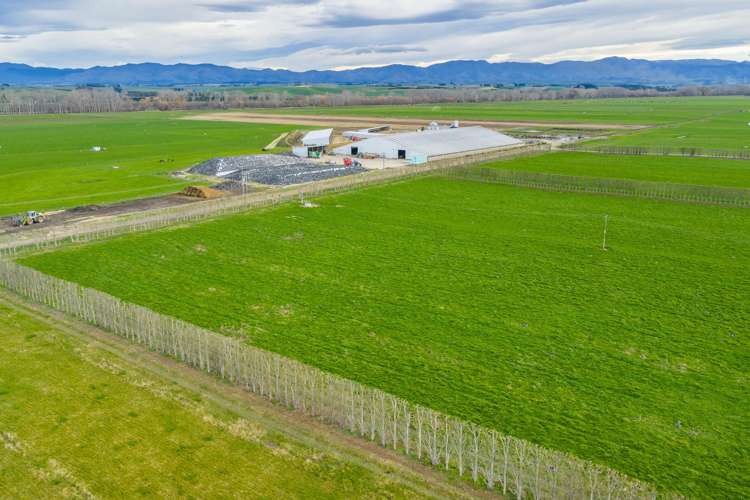 238 and 119 Pooke Road and Timaru Pareora Highway Pareora_8