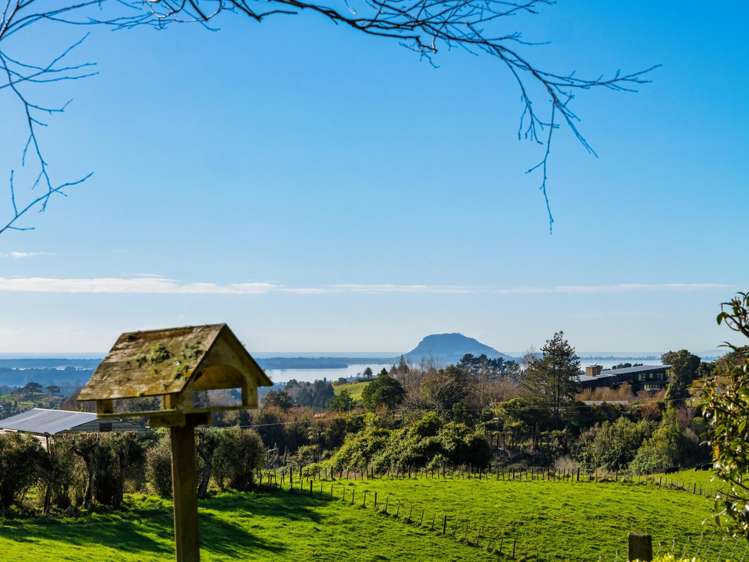 533 Wainui South Road Whakamarama_23