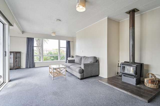 201 Nikau Street Saint Leonards_2