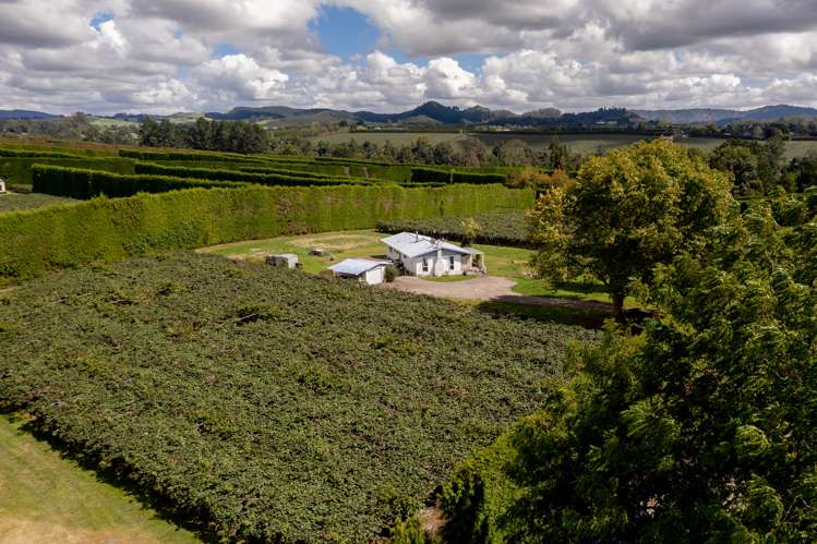 764b Te Matai Road Te Ranga_19