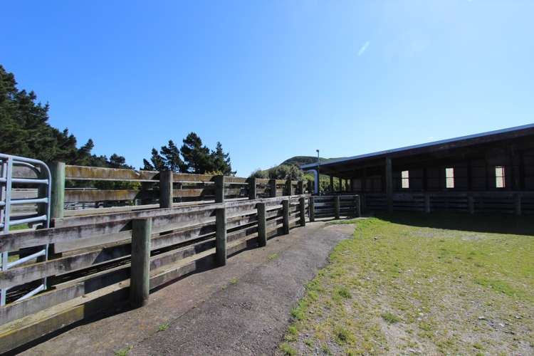 275 Akaroa Road Pongaroa_19