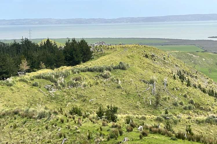 3716 Kaipara Coast Highway Mangakura_8