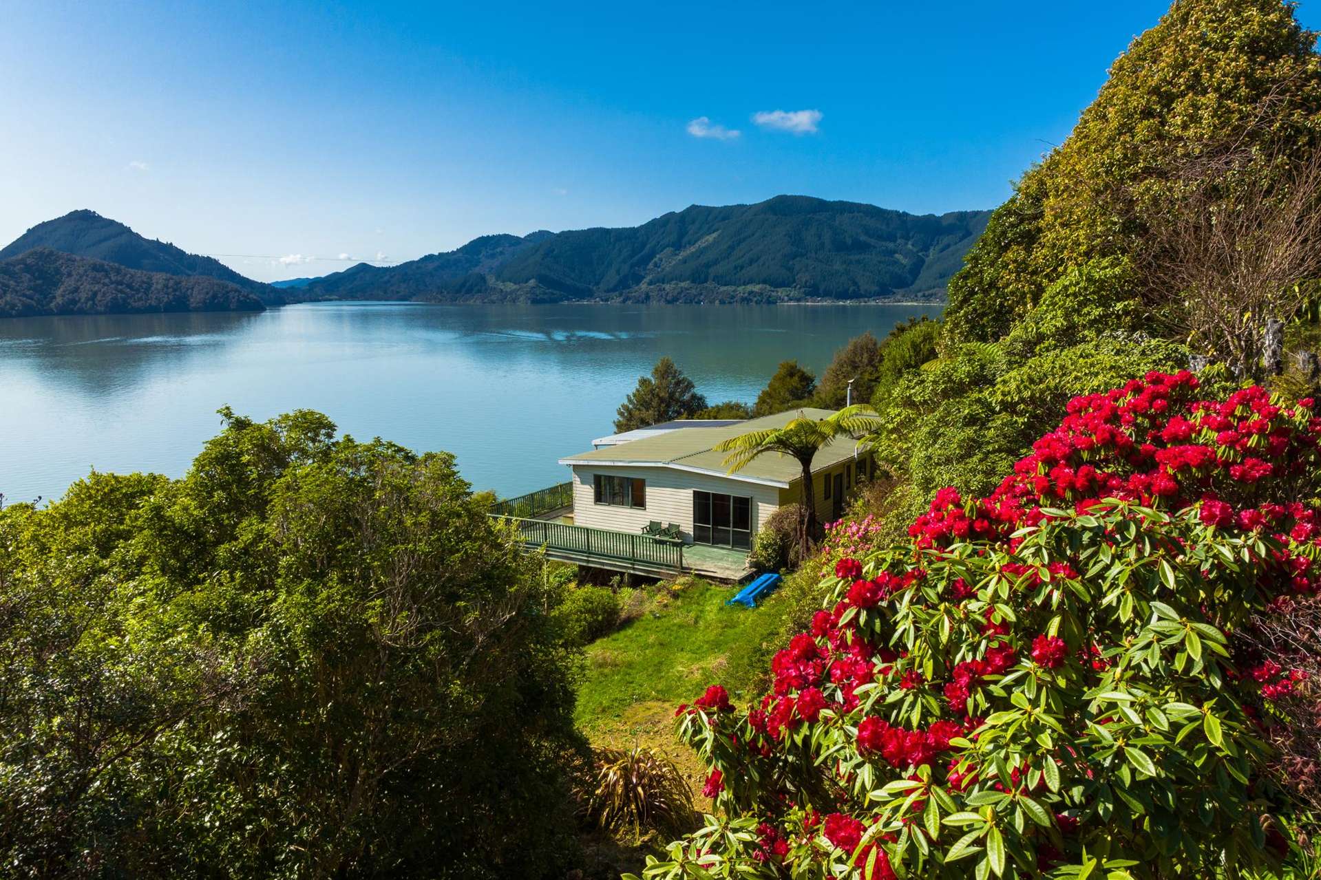 1 Black Point, Whatanihi Marlborough Sounds_0