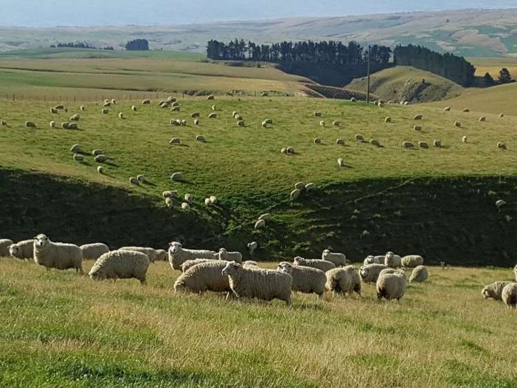 295 Wallaces Ford Road Hindon_4