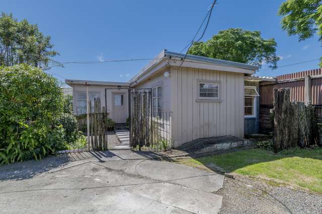 11 Derby Street Levin_4