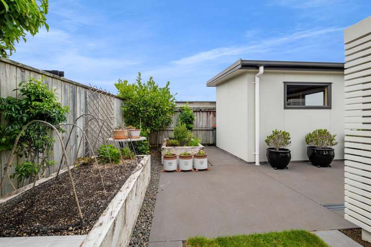 425 Mangorei Road Highlands Park_22