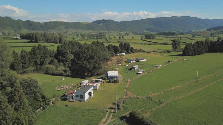 698 Corbett Road Ngakuru_12