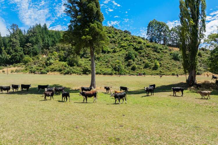 407 Onamalutu Road Wairau Valley_7