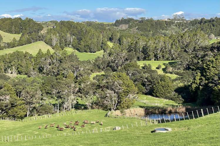 140 Te Arai Point Road Te Arai_15