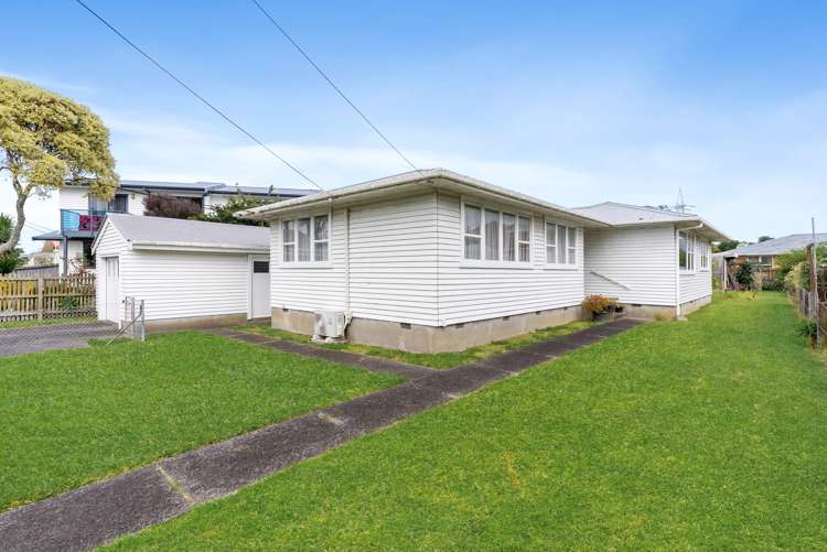 31 Arran Street Avondale_8