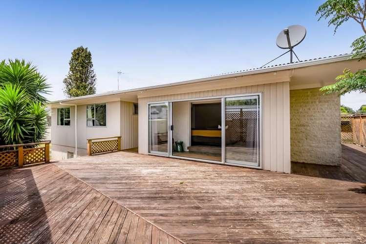 147 Govett Avenue Frankleigh Park_17