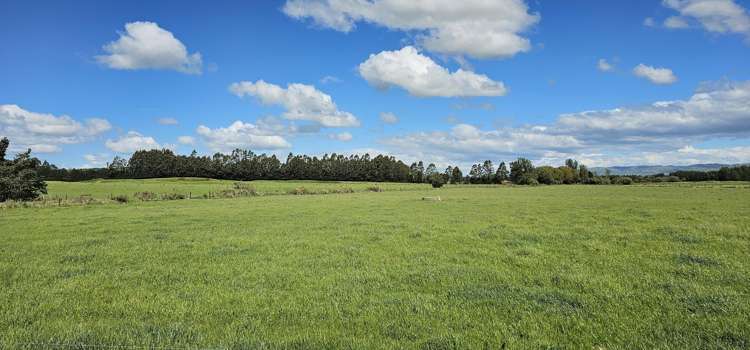 236 Walker Road Lumsden Surrounds_15