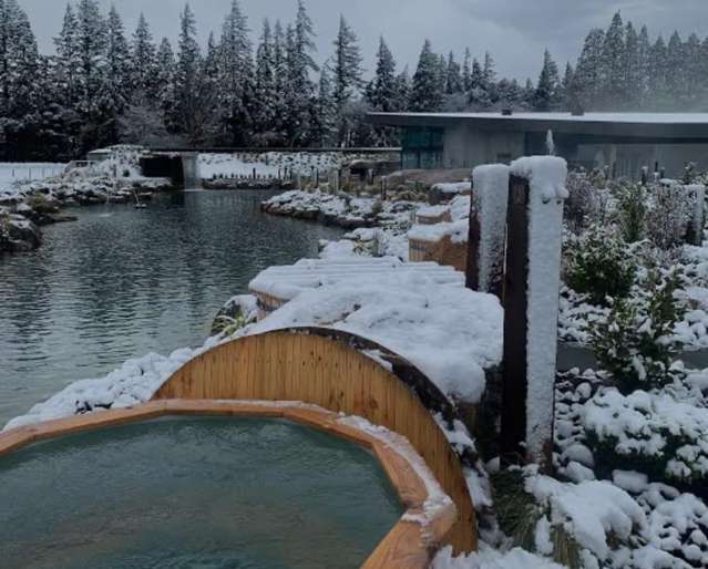 43 Homes Rd, Camrose Estate Methven_2