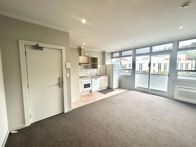 1H/3 Shakespeare Road Napier South_1