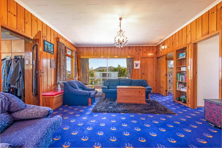 33 Daniell Street Bulls_4