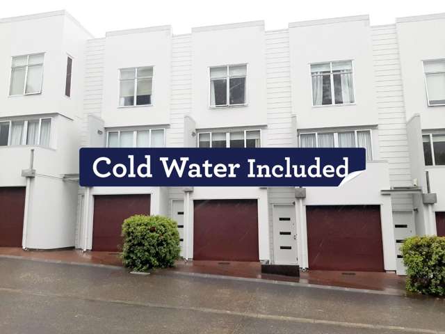 Mt Eden 2 Bedroom Terrace Home