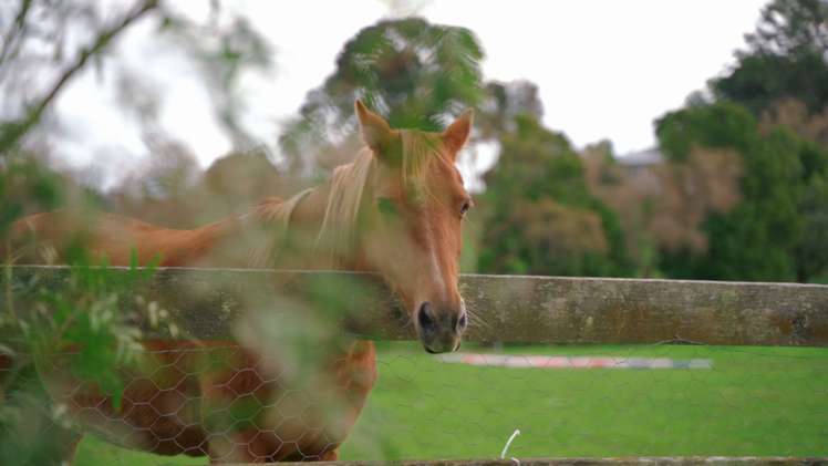 867 Whitford-Maraetai Road Beachlands_79