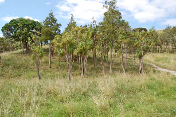 135 Phillips Road Kaiwaka_13