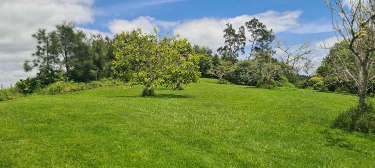 398 Bull Road Paparoa_15