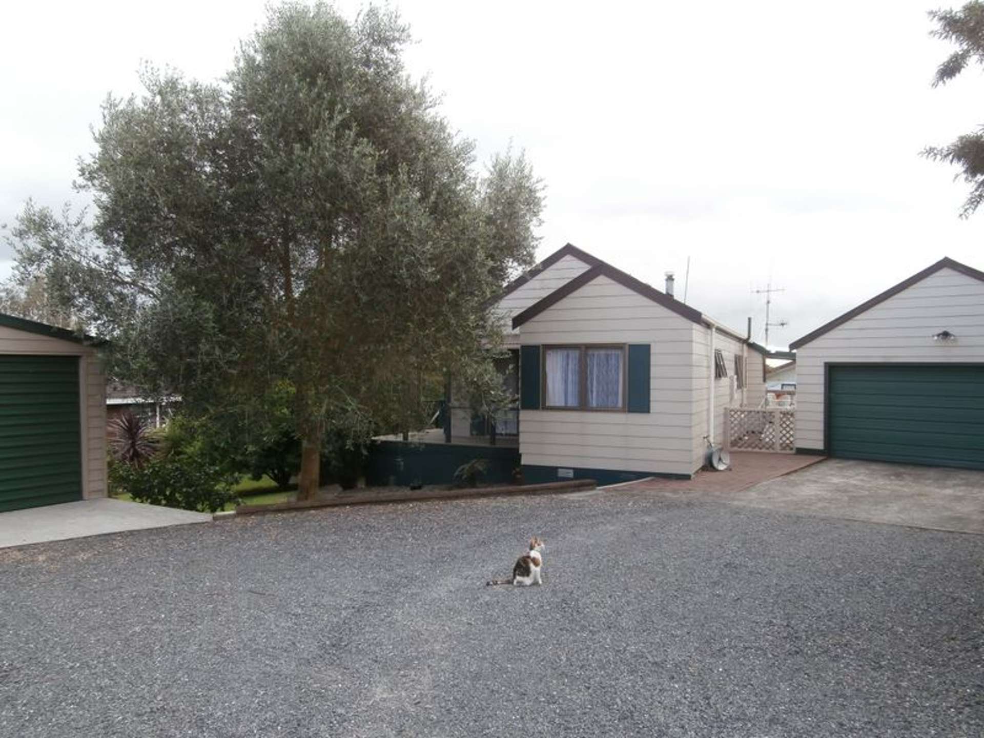 37 Williams Avenue Morrinsville_0