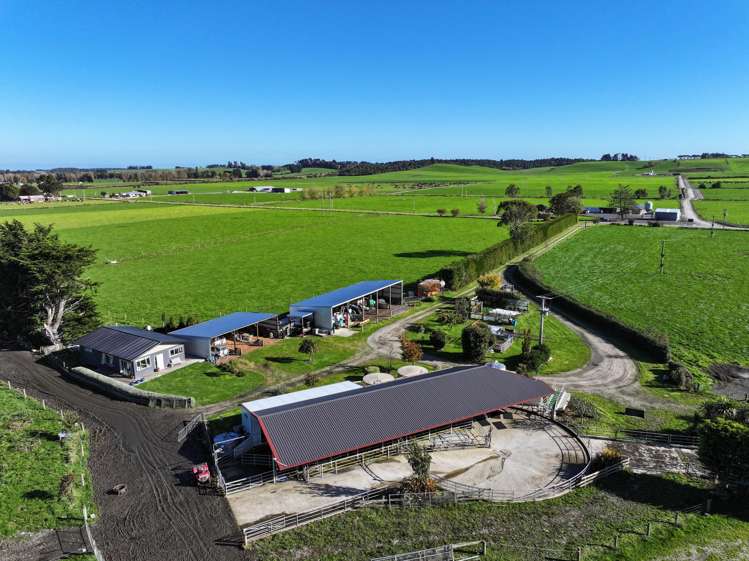 61 Donald Road Edendale_5