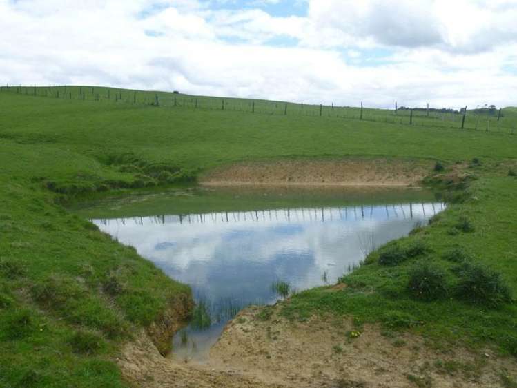 115 Chester Park Road Carterton_3