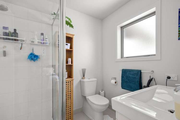 196 Nelsen Ridge Road Alexandra_12