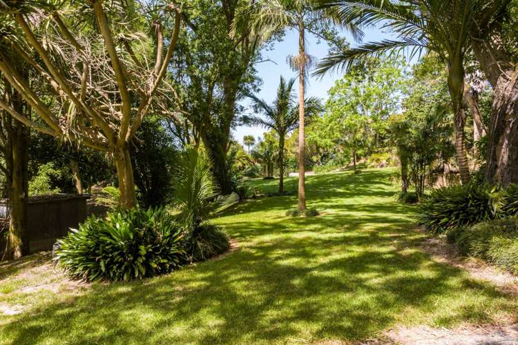 81 Coal Hill Road Mangawhai_15