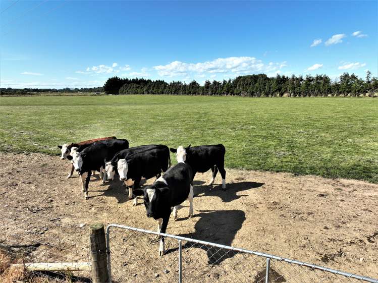 342 East Road Mill Road_16