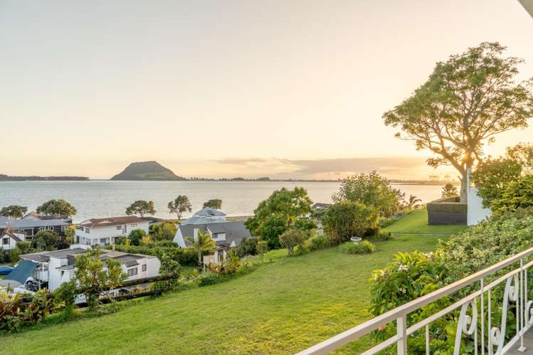221 Ngatai Road_0