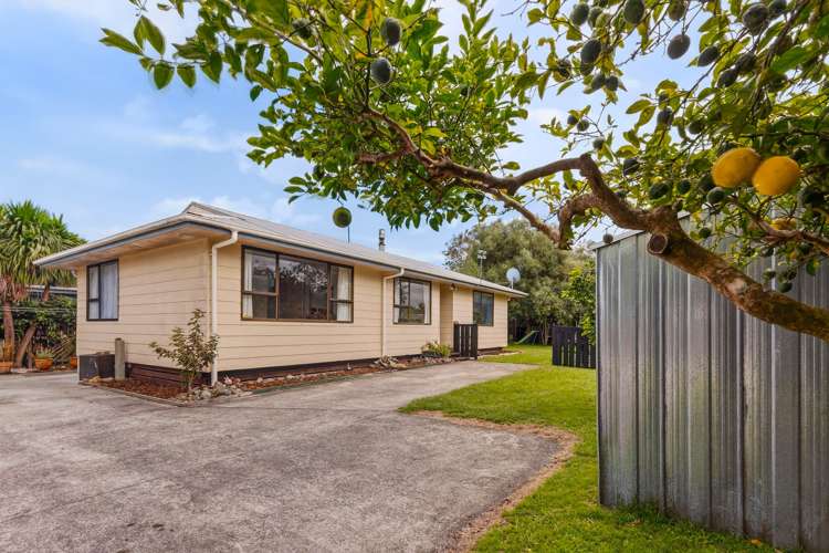 3 Mackay Crescent Waihou_1