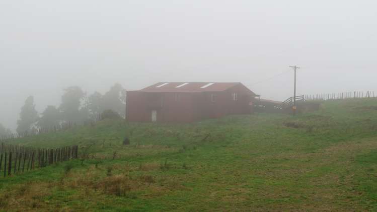 291 Mahoe Road Waitomo_13