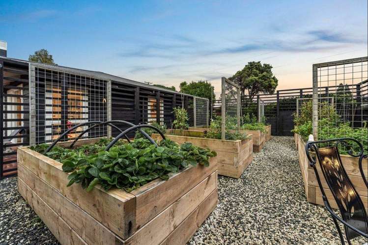 181 Baddeleys Beach Road Tawharanui Peninsula_18