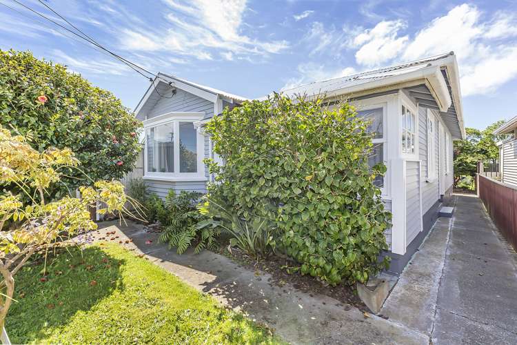 88 Hobart Street Miramar_15