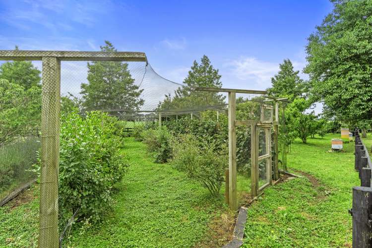 147 Kiroa Road Gordonton_24