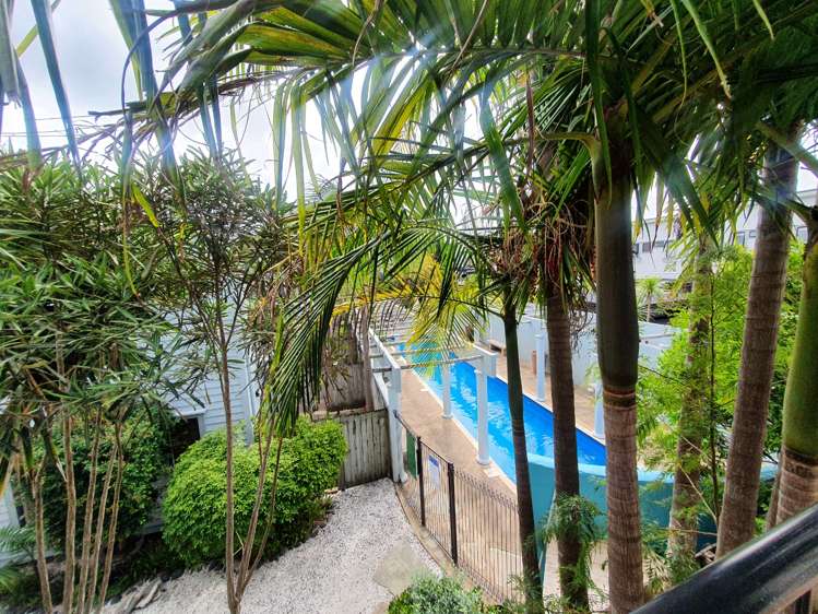 46/24 Norrie Avenue Mount Albert_12