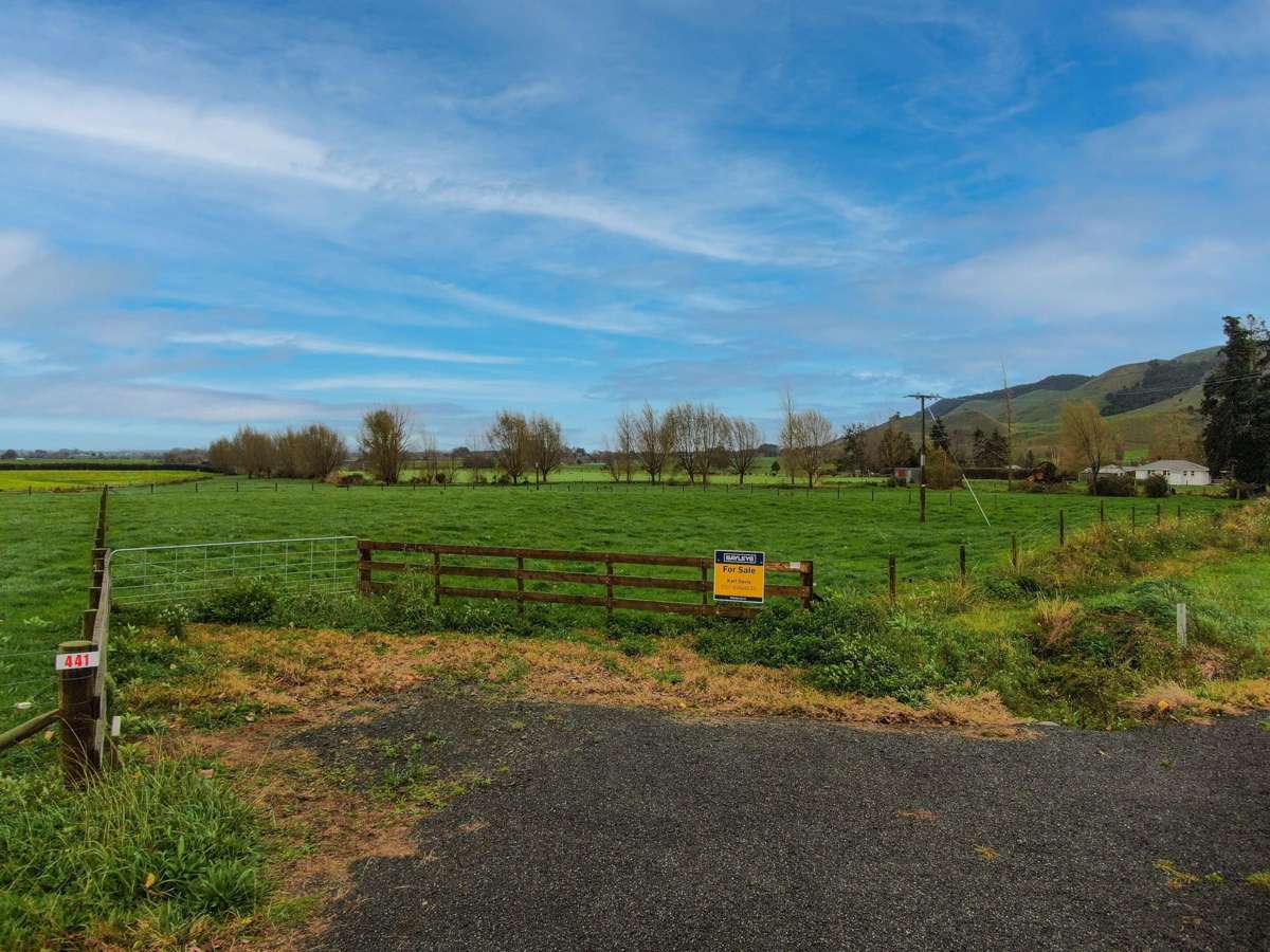 425 + 441 Rawhiti Road_4