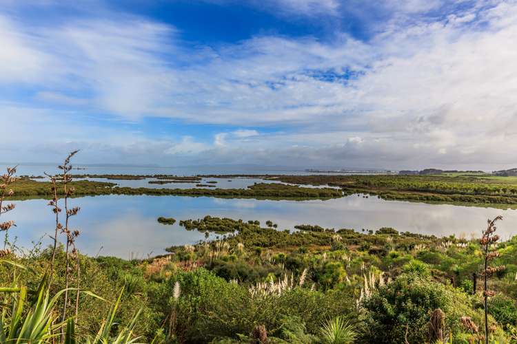 11 Bill Phillip Place Clendon Park_15