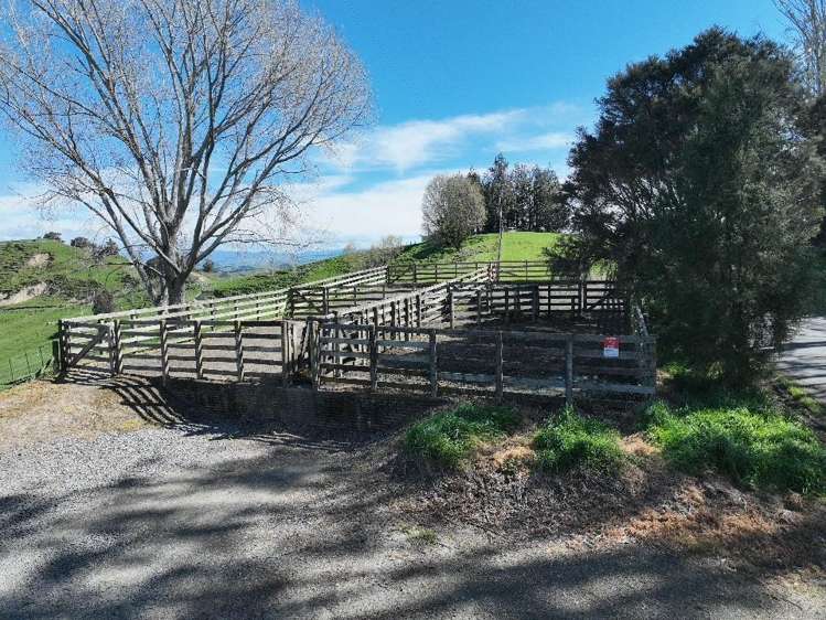 2829 Puketitiri Road Patoka_17